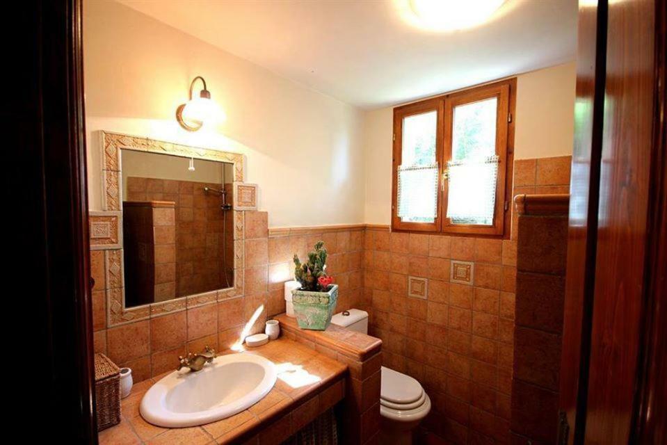 Villa Violica, Karnevali Zminj Luaran gambar